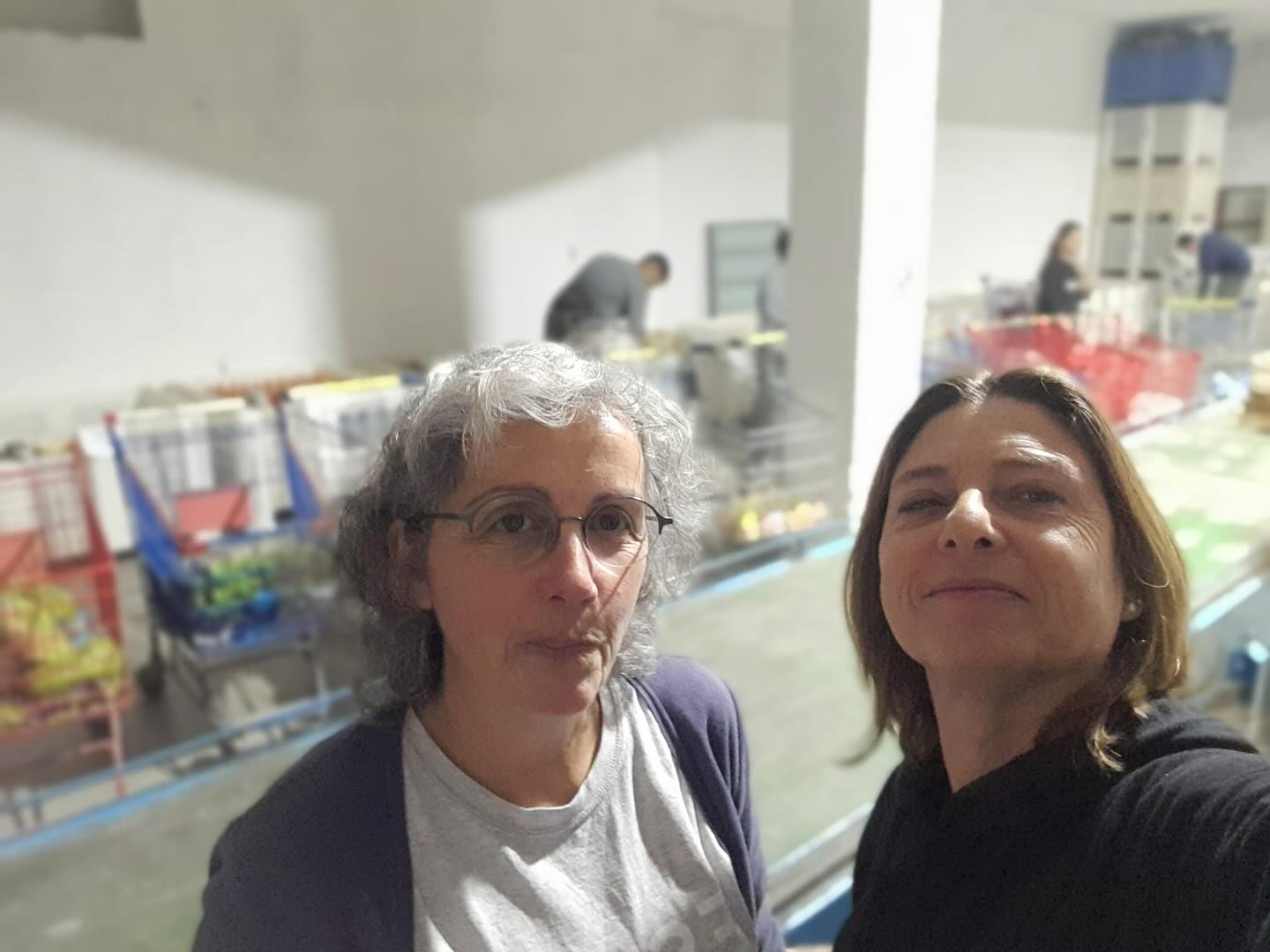 A ESTAR com Banco Alimentar Contra a Fome