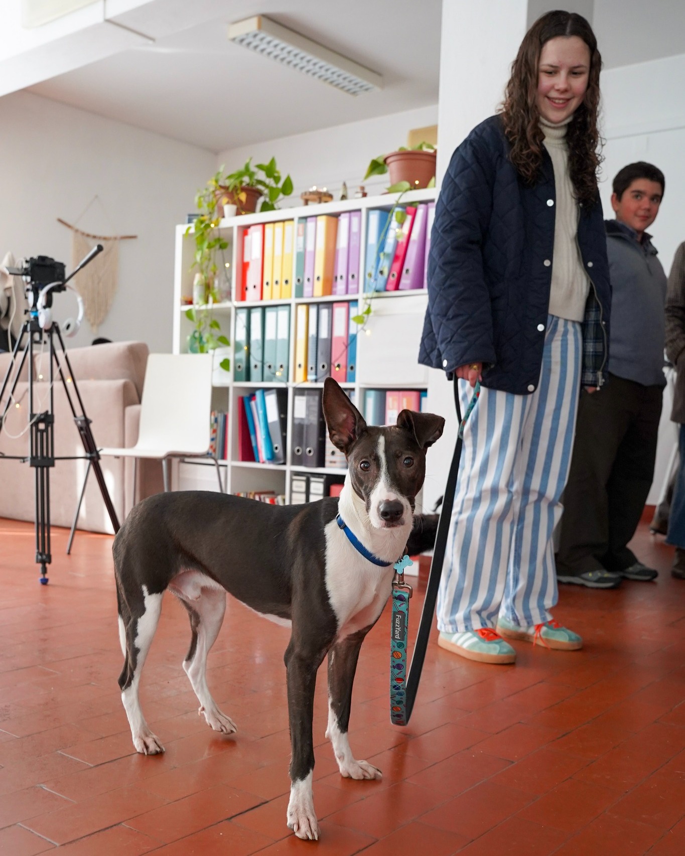 ESTAR: Portas abertas de braços abertos