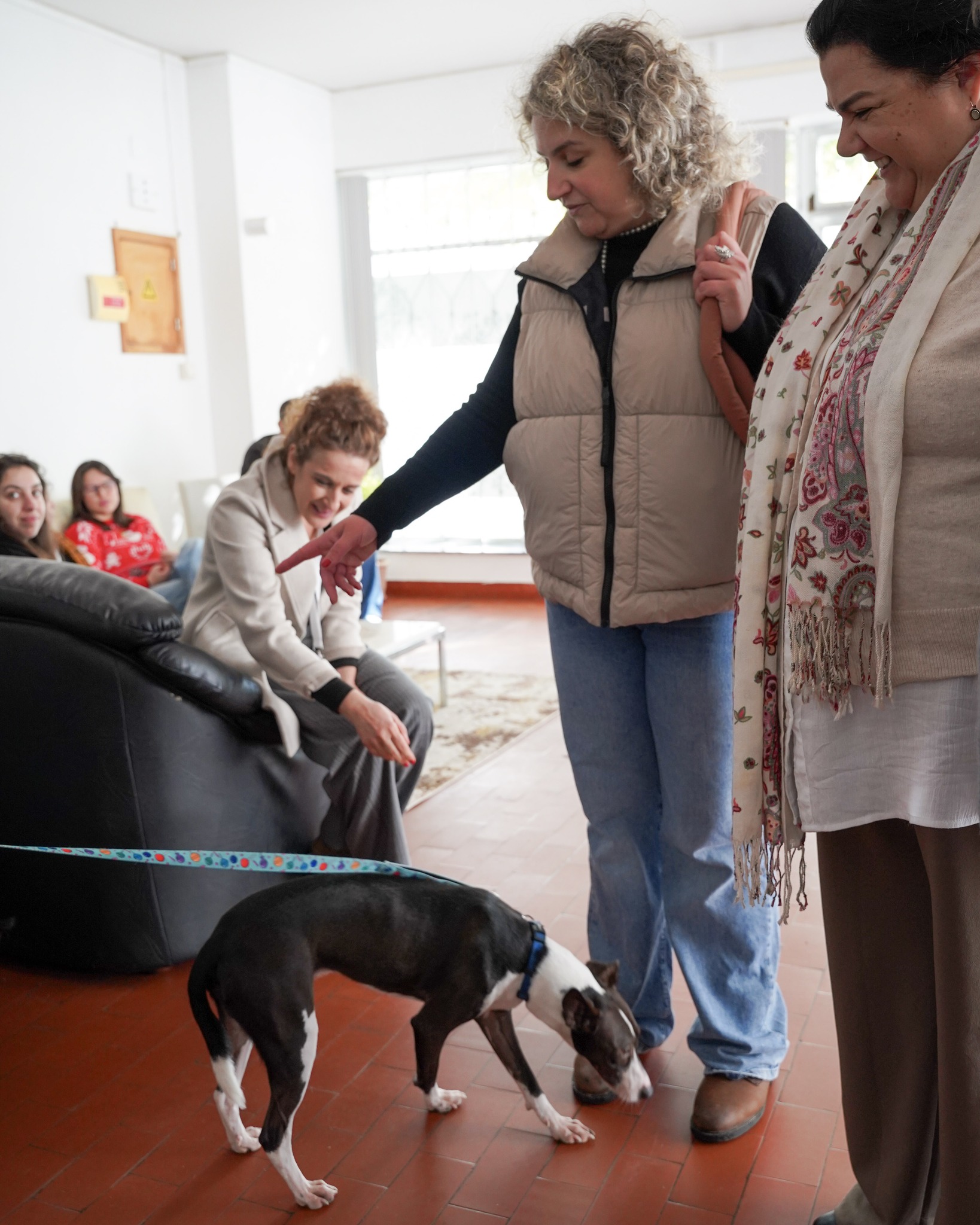 ESTAR: Portas abertas de braços abertos